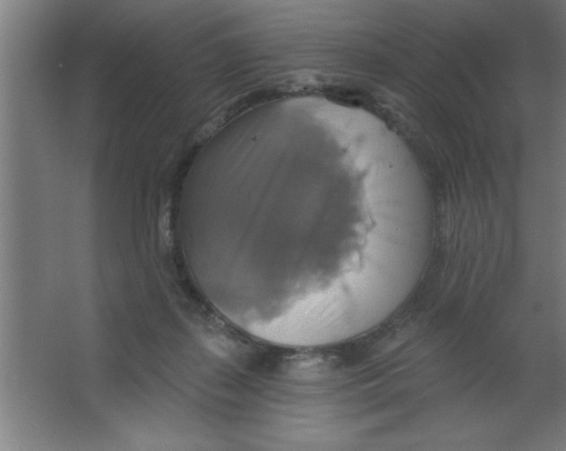 X0000067350267200604212009