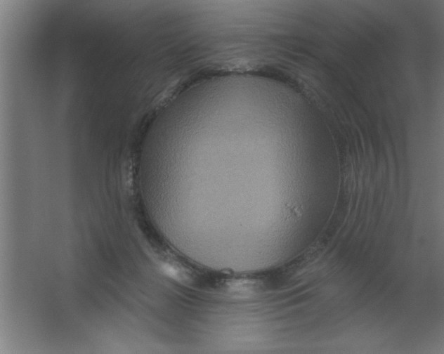 X0000067350268200604212009