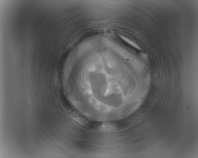 X0000067350270200604212009