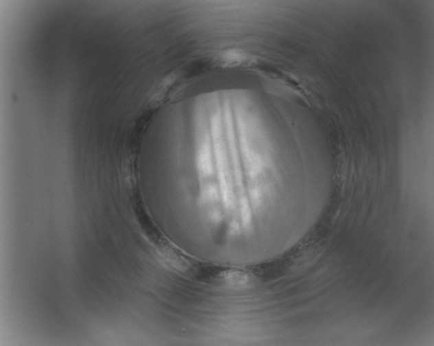 X0000067350272200604212009