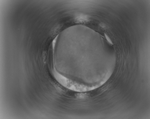 X0000067350273200604212009