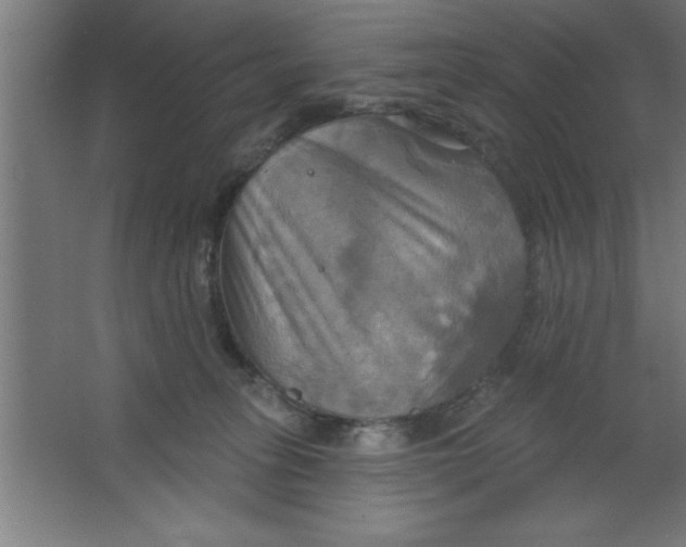 X0000067350275200604212009