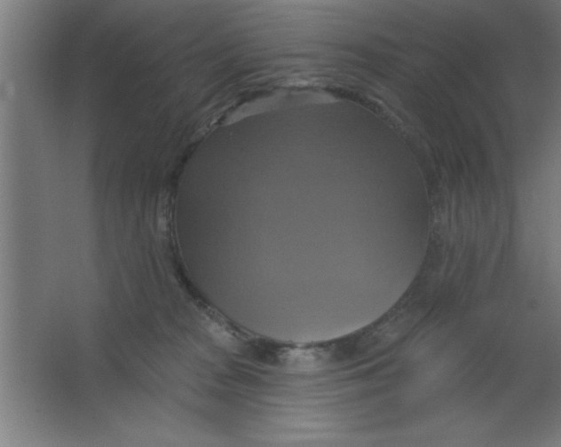 X0000067350277200604212009