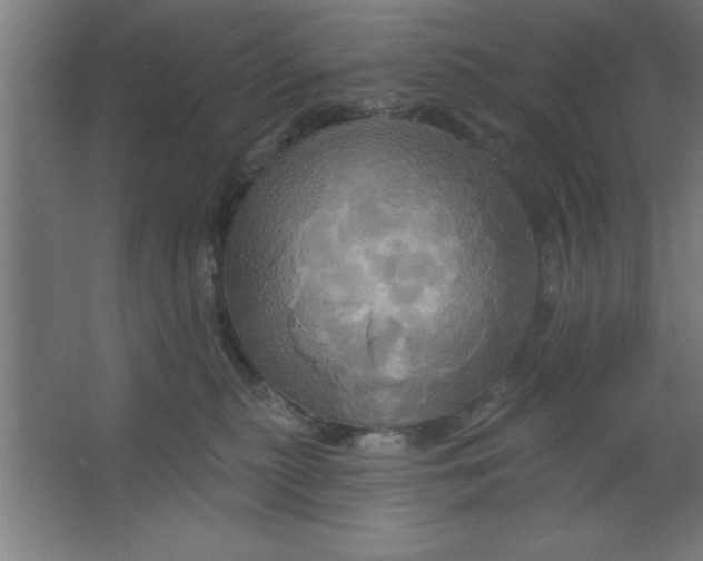 X0000067350279200604212009