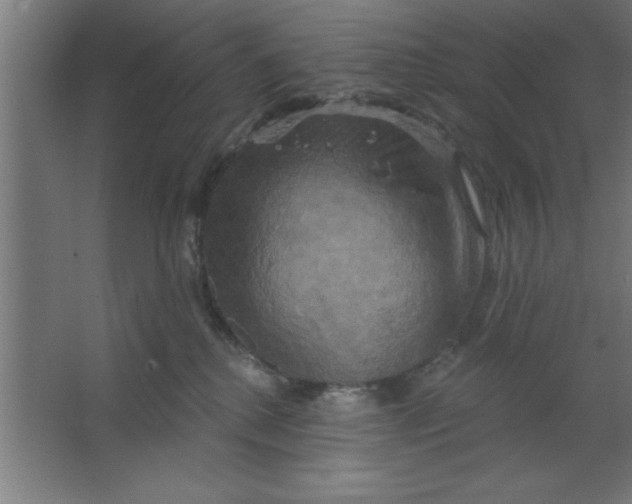 X0000067350280200604212009