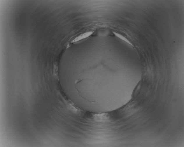 X0000067350281200604212009