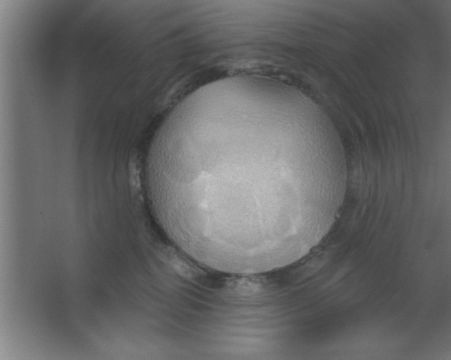 X0000067350282200604212009