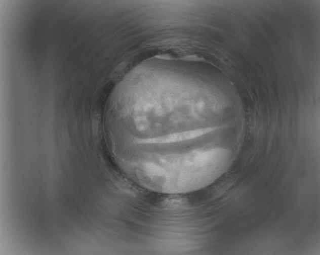 X0000067350283200604212009