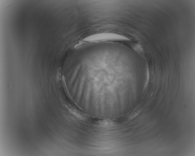 X0000067350284200604212009