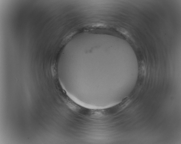 X0000067350285200604212009