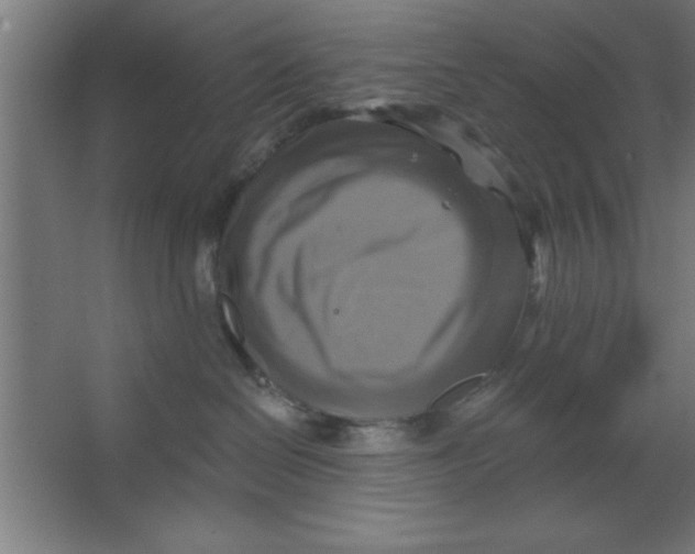 X0000067350286200604212010