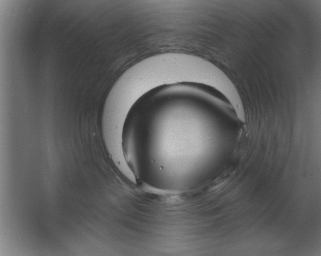 X0000067350287200604212010