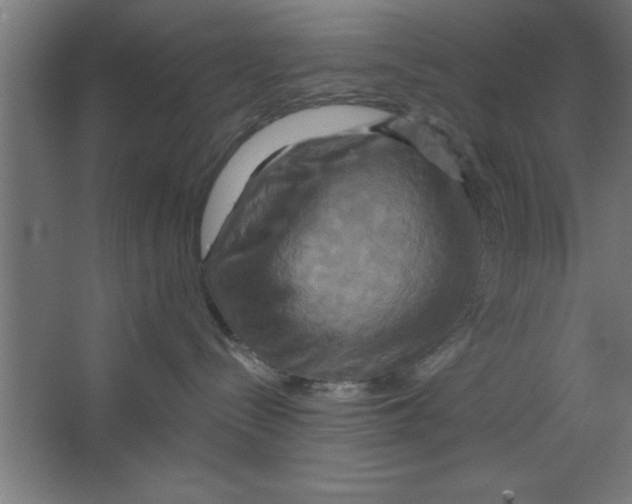 X0000067350288200604212010