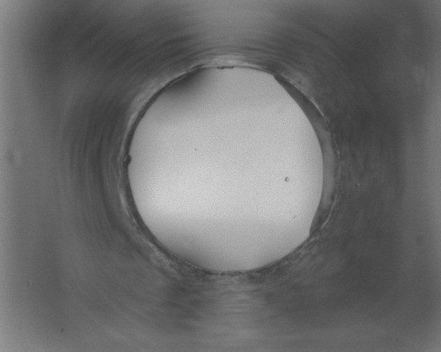 X0000067350289200604212009