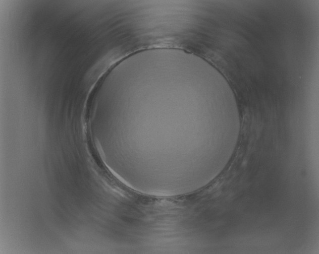 X0000067350290200604212009