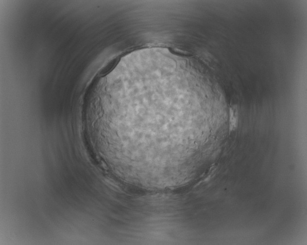 X0000067350291200604212009