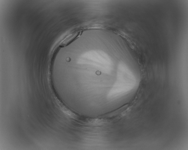 X0000067350293200604212009