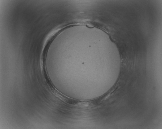 X0000067350294200604212009