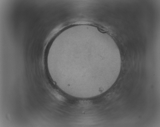 X0000067350296200604212009