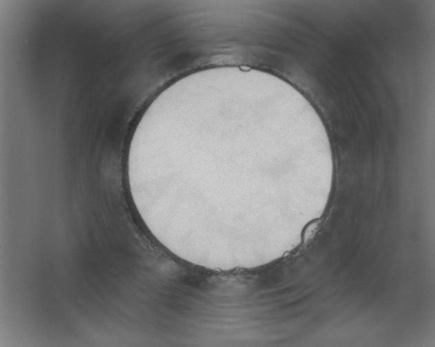 X0000067350297200604212009