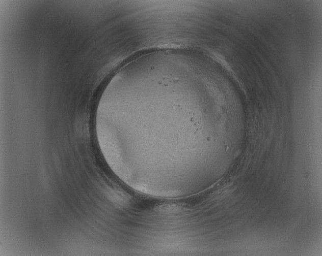 X0000067350299200604212009