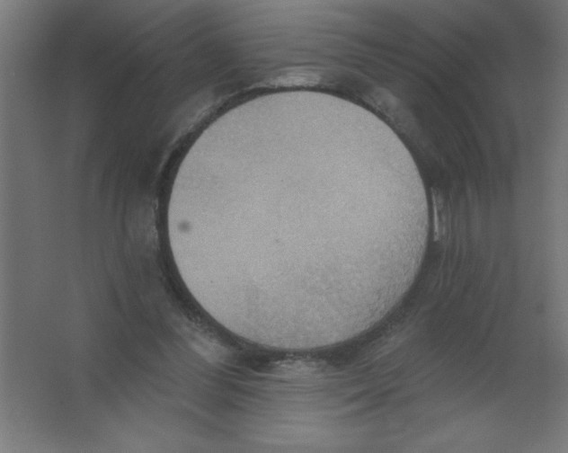 X0000067350300200604212009