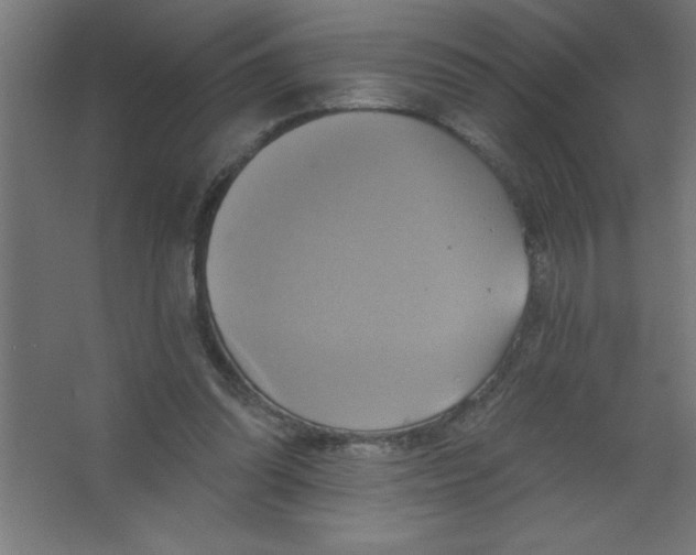 X0000067350302200604212009