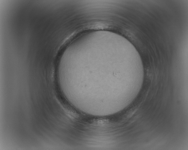 X0000067350304200604212008