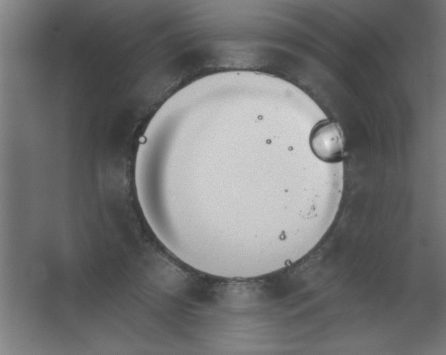 X0000067350305200604212008