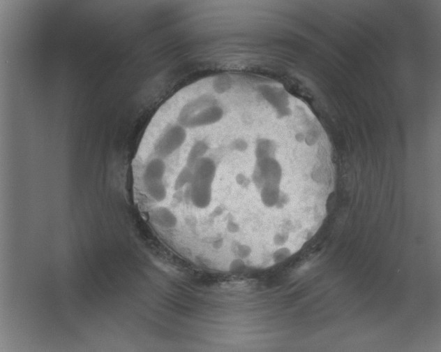 X0000067350307200604212008