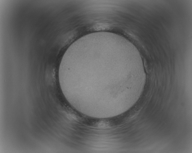 X0000067350308200604212008