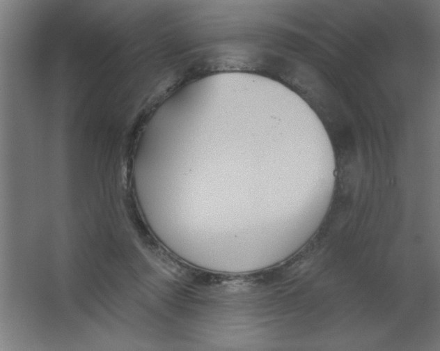 X0000067350310200604212008