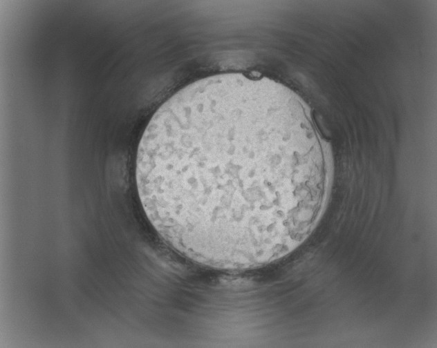 X0000067350311200604212008