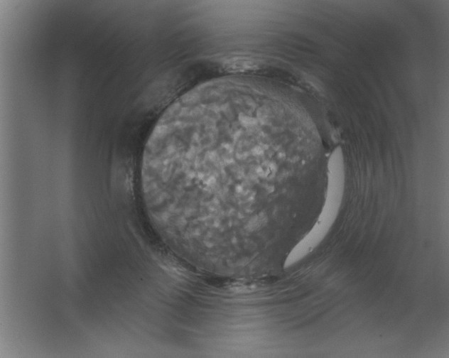 X0000067350315200604212008