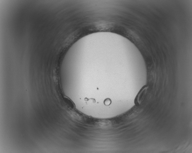 X0000067350317200604212008