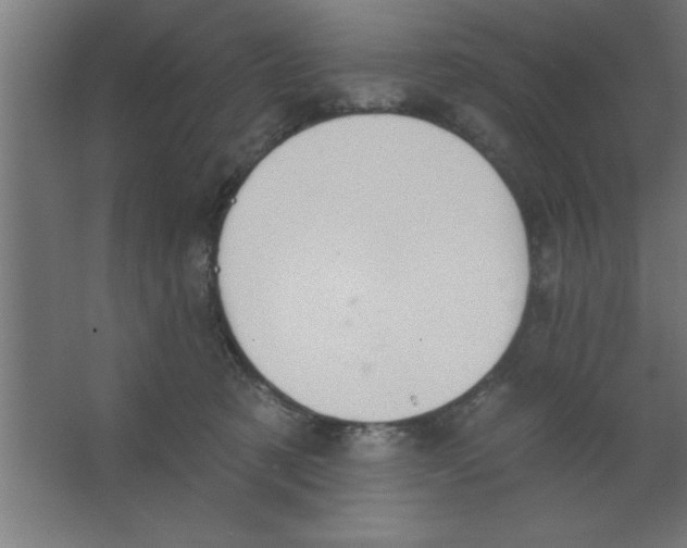 X0000067350321200604212008