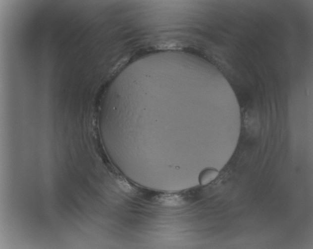 X0000067350322200604212008