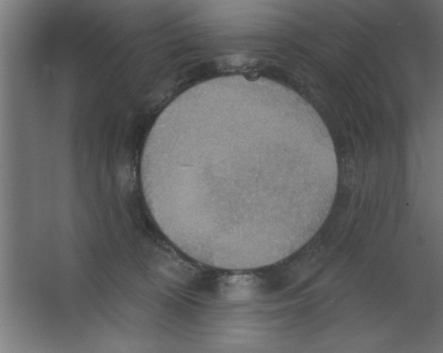 X0000067350324200604212008