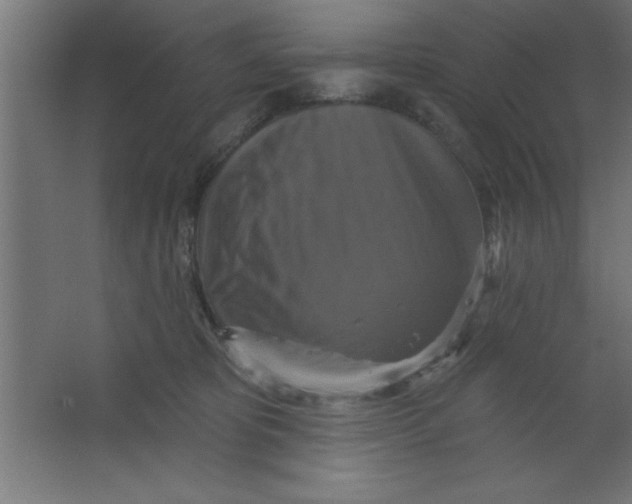 X0000067350325200604212008