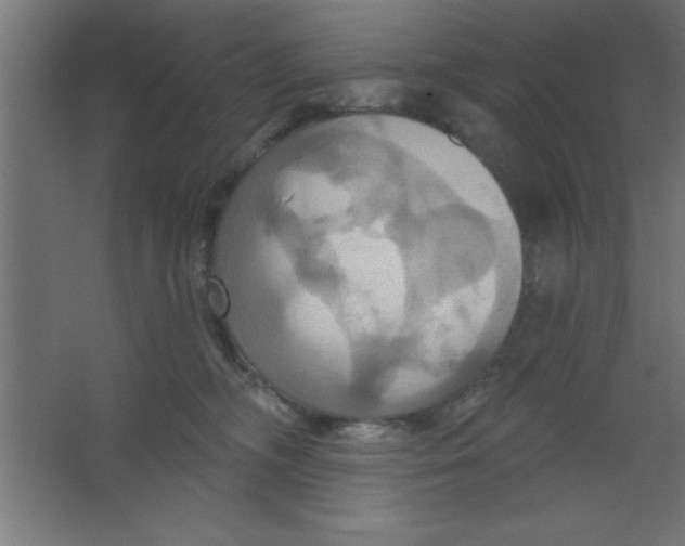 X0000067350326200604212008