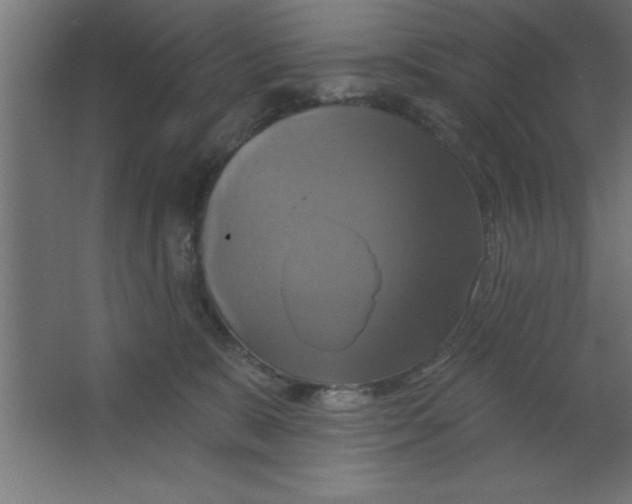 X0000067350327200604212008