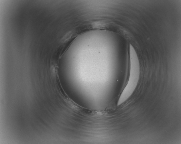 X0000067350329200604212008