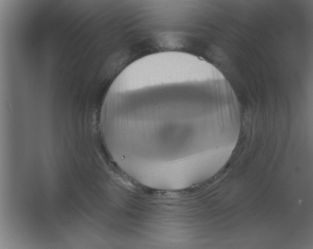 X0000067350330200604212008