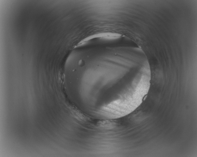 X0000067350331200604212008