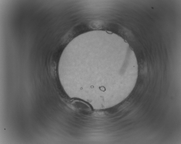 X0000067350332200604212008