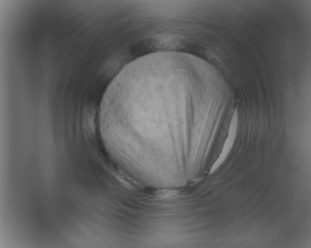 X0000067350334200604212008