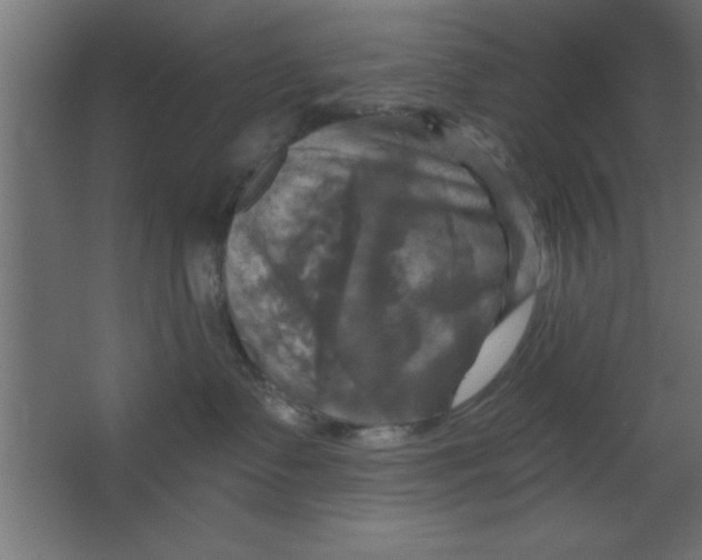 X0000067350335200604212008