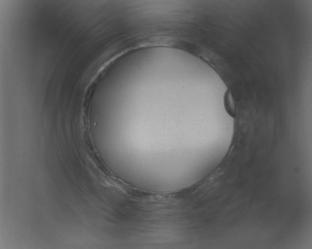 X0000067350338200604212007