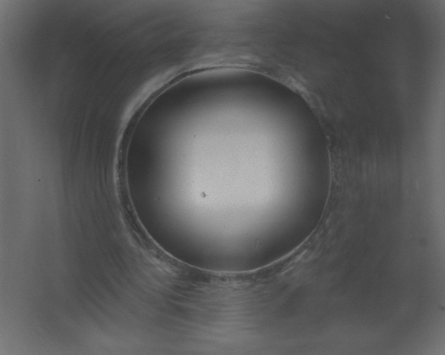 X0000067350340200604212007