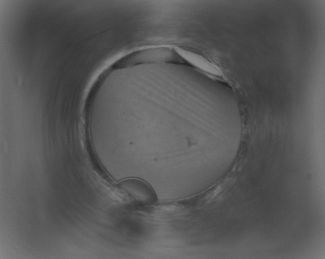 X0000067350342200604212007